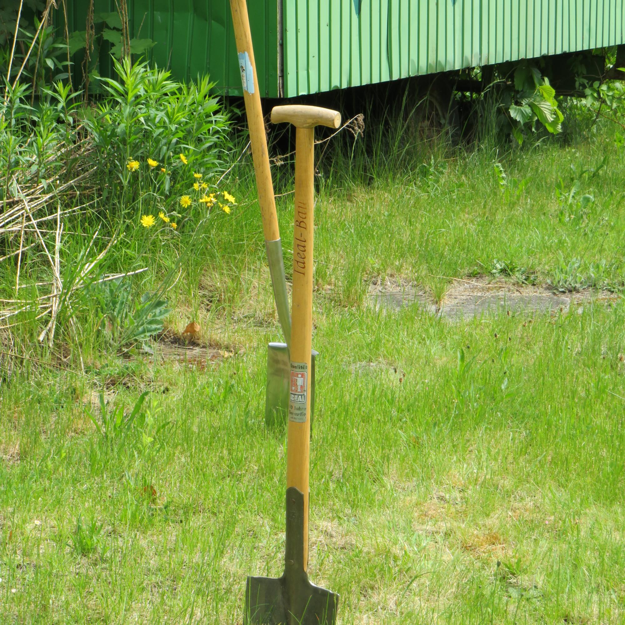 Der Gottesgarten entsteht