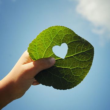Klimaschutz